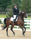 Dressage at Delaware